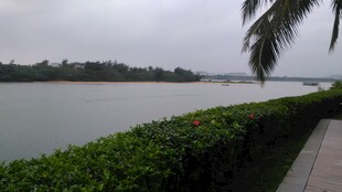 三亚河畔绿植环绕的宁静风景