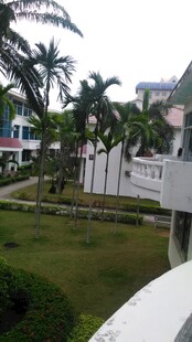 三亚热带风情庭院景观