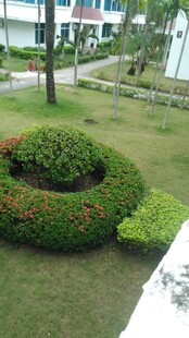 三亚精致园林式绿植景观