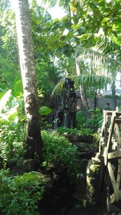 三亚林间石桥 自然静谧景致