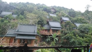 三亚山林中的木质度假小屋