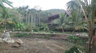 三亚热带风情庭院景观