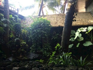 三亚繁茂绿植环绕的庭院角落