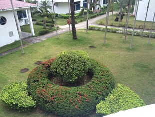 三亚庭院绿植景观