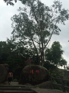 三亚山林巨石景观