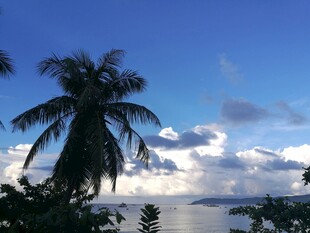 三亚海边椰树与蓝天白云美景