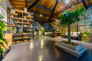 三亚工业风室内绿植休闲空间