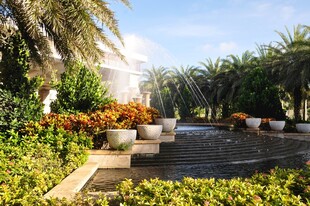 三亚花园景观中的绿植与喷泉