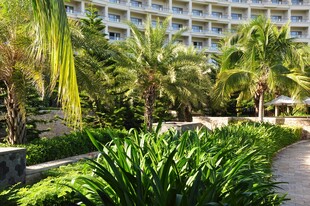 三亚热带园林中的度假酒店景观