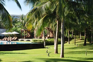 三亚热带风光中的棕榈树与草坪