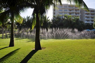 三亚热带草坪旁的棕榈树与建筑