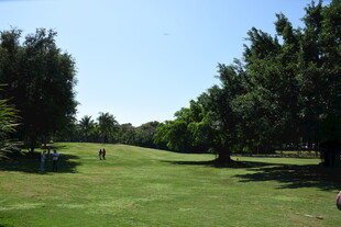 三亚绿意盎然的高尔夫球场