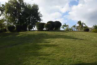 三亚绿意盎然的户外草地景观