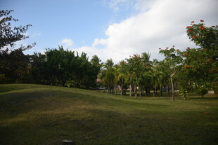 三亚户外绿意盎然的开阔草地