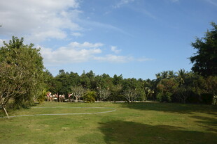 三亚户外绿草地与树木景观