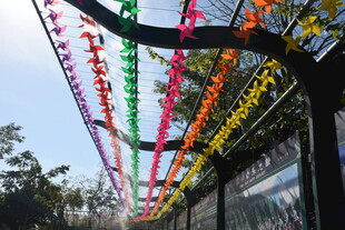 三亚彩色灯串装点的户外场景