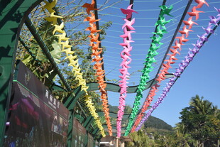 三亚彩色风车长廊 绚丽风景线