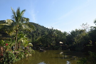 三亚热带河畔风光