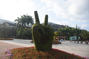 三亚绿植造型的比心景观