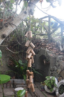 三亚创意木艺装饰 自然风景观