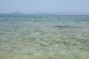 三亚清澈见底的美丽海域