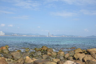 三亚海边礁石与远处城市风景