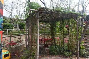 三亚户外木质花架景观