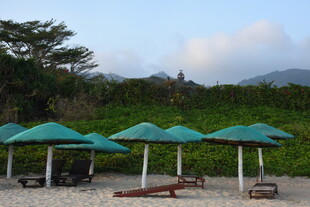 三亚海滩上的绿色遮阳伞景观