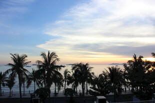 三亚海边椰林的美丽日落景色