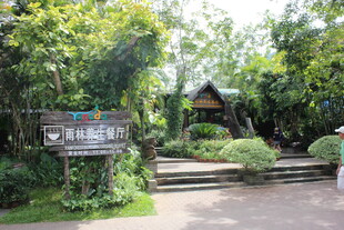 三亚清幽园林景观