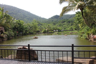 三亚湖畔风光 绿植环绕的宁静地