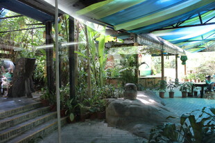 三亚户外绿植环绕的休闲空间