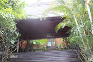 三亚绿植环绕的木质户外台阶