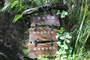 三亚森林中的古老金属铭牌