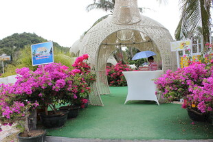 三亚户外浪漫花卉装饰拱门