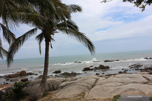 三亚海边椰树与礁石美景