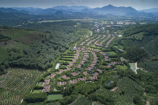 三亚俯瞰绿意盎然的村落景观