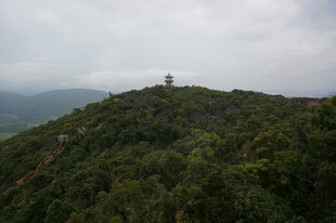 三亚山巅之景 云雾缭绕绿意浓