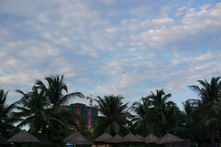 三亚椰林蓝天 热带风情美景