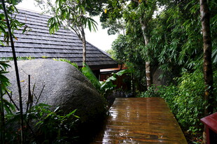 三亚庭院木质小径与绿植景观