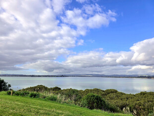 海滨绿野蓝天美景