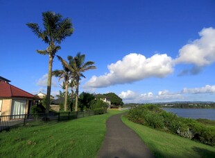 乡村小道旁的美丽景致