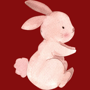 粉色萌兔插画