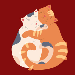 相拥的可爱猫咪