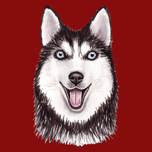 可爱哈士奇头像