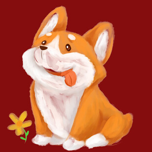 可爱柯基吐舌伴小花