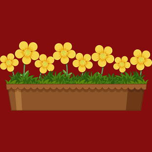 花盆里的黄色小花