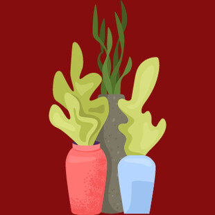 两盆可爱仙人掌插画