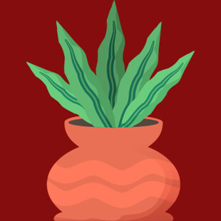 陶罐中的翠绿植物