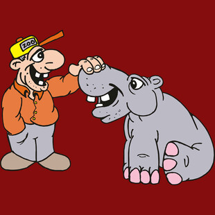 人与河马的欢乐互动